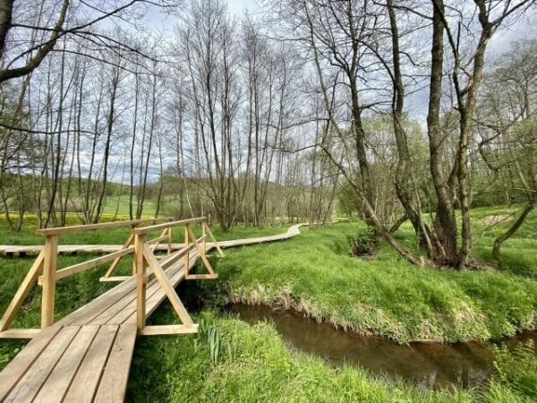 Excursion in Prekmurje - Path through the swamp